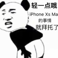 熊猫头：轻一点哦 iPhone Xs Max的事情就拜托了