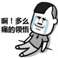 啊！ 多么痛的领悟