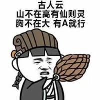 古人云：山不在高有仙则灵，胸不在大 有A就行