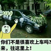 你们不是很喜欢上车吗?来，往这里上！（灵车）