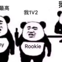 三个熊猫头：Theshy我伤害最高，Rookie我1v2，jkl我扛塔