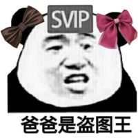 SVIP熊猫头：爸爸是盗图王