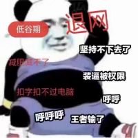 肥胖熊猫头退网：坚持不下去了，装逼被权限，王者输了等