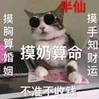 猫半仙：摸奶算命不准不要钱