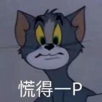 汤姆猫：慌得一P