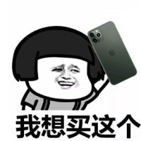 蘑菇头拿着iphone11：我想买这个