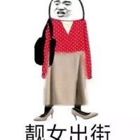 熊猫头穿着漂亮的衣服：靓女出街