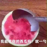 能吃你的西瓜吗，就一勺