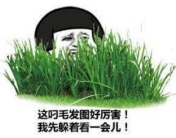 我先躲着观察一下