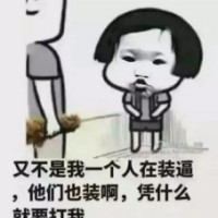 凭什么打我，又不止我一个人在装逼