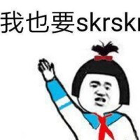 我也要skrskr