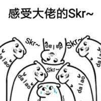 感受大佬的skr