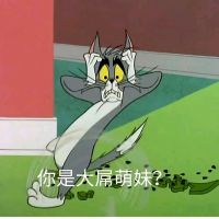 猫和老鼠-你是大屌萌妹？