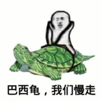 巴西龟 我们慢走