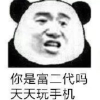 你是富二代吗 天天玩手机