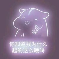 彩色荧光仓鼠表情包-第169张