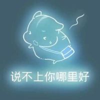 彩色荧光仓鼠表情包-第163张