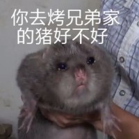 竹鼠表情包7 