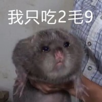 竹鼠表情包6 