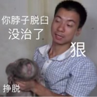 竹鼠表情包1 