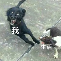 我和生活表情包17