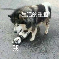 我和生活表情包15