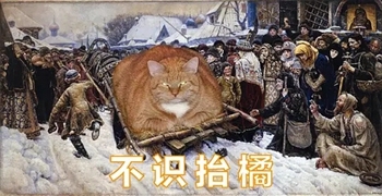 橘猫名画表情包19