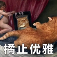 橘猫名画表情包11