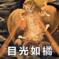 橘猫名画表情包2 