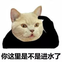 猫脸熊猫人表情包-你这里是不是进水了