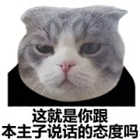 猫脸熊猫人表情包-这就是你跟本主子说话的态度吗