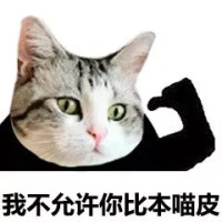 猫脸熊猫人表情包-我不允许你比本猫皮