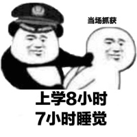 当场抓获表情包5