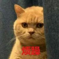 橘猫暗中观察表情包18