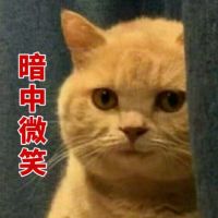 橘猫暗中观察表情包12