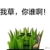 太阳与小草表情包-我草，你谁啊