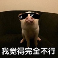 嘻哈小猪表情包-我觉得完全不行