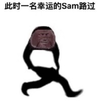 路过表情包-此时一名幸运的sam路过