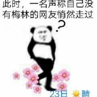 路过表情包-此时一位声称自己没有梅林的网友路过