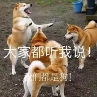 暴躁柴犬二哈土狗在线怼人表情包-21