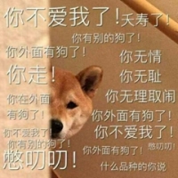 暴躁柴犬二哈土狗在线怼人表情包-15