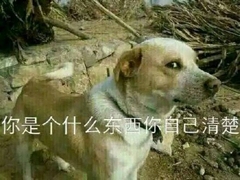 暴躁柴犬二哈土狗在线怼人表情包-14