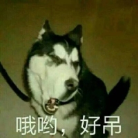 暴躁柴犬二哈土狗在线怼人表情包-8 