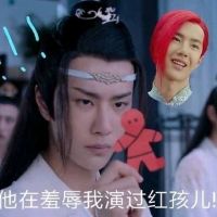 陈情令魔道祖师肖战魏无羡表情包-47