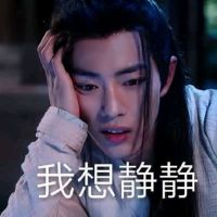 陈情令魔道祖师肖战魏无羡表情包-31