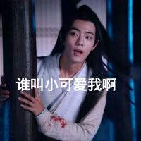 陈情令魔道祖师肖战魏无羡表情包-26