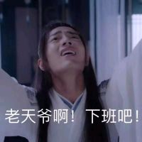 陈情令魔道祖师肖战魏无羡表情包-23