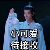 陈情令魔道祖师肖战魏无羡表情包-20