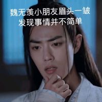 陈情令魔道祖师肖战魏无羡表情包-17