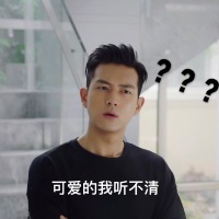 李现亲爱的我老公表情包-40